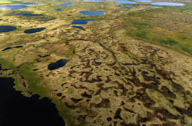 Similar image 21874200