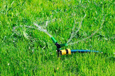 Similar image 21874729