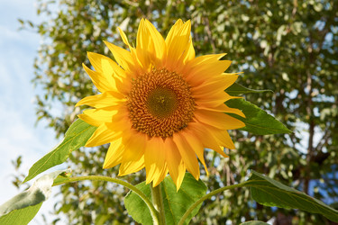 Similar image 21874205