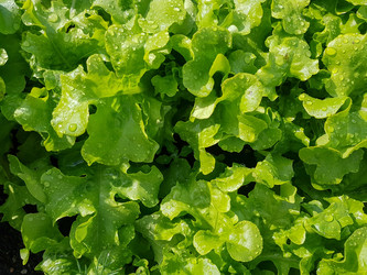 Similar image 21874208