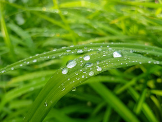 Similar image 21874209