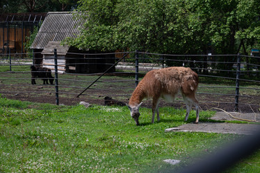 Similar image 21874222