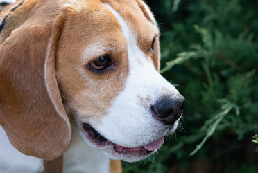 Similar image 21874224