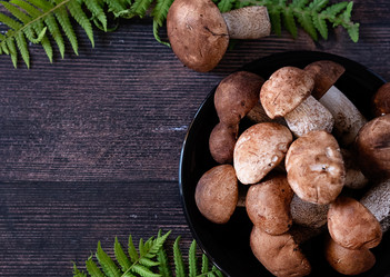 Similar image 21874226