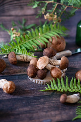 Similar image 21874227