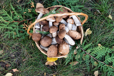 Similar image 21874228