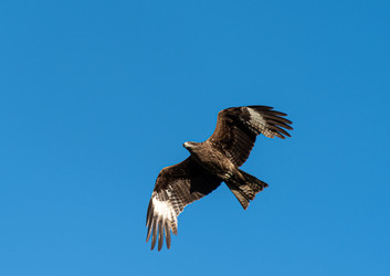 Similar image 21874400