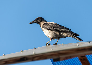 Similar image 21874402