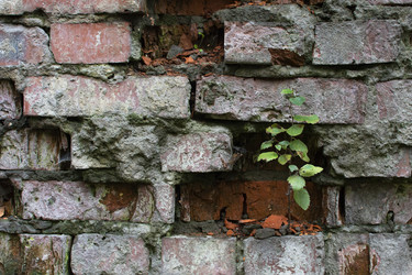 Similar image 21874404