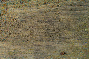 Similar image 21874407