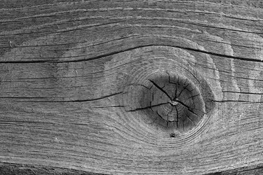 Similar image 21874409