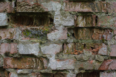 Similar image 21874419