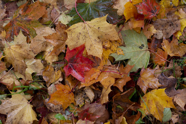 Similar image 21874421