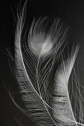 Similar image 21874424