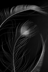 Similar image 21874425