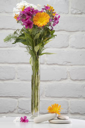 Similar image 21874434