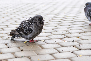 Similar image 21874435