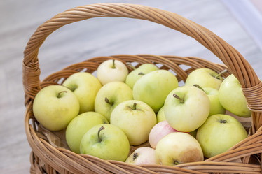 Similar image 21874284