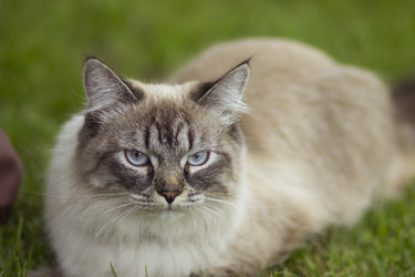 Similar image 21874237