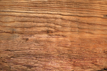 Similar image 21874523