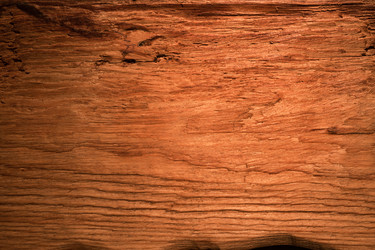 Similar image 21874542