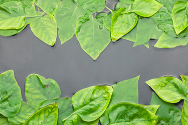 Similar image 21874555