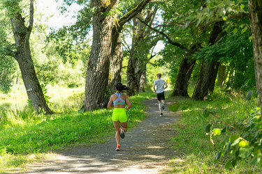 Similar image 21874563