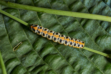 Similar image 21874286