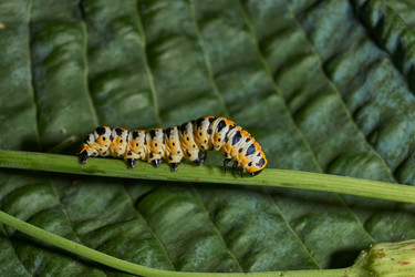 Similar image 21874287