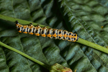 Similar image 21874288