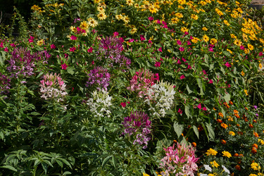 Similar image 21874289