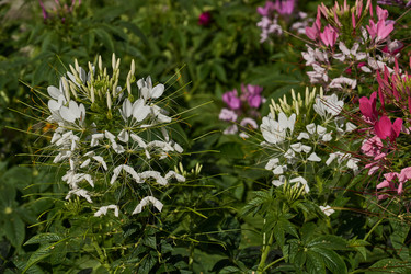 Similar image 21874292