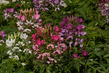 Similar image 21874294