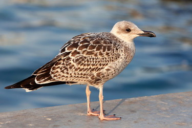 Similar image 21874796