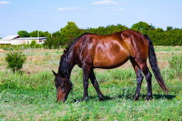 Similar image 21874832