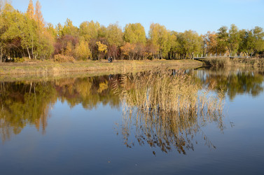 Similar image 21874970