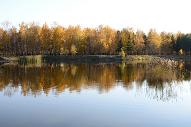 Similar image 21874971