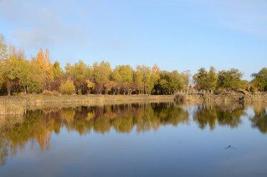 Similar image 21874972