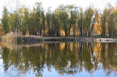 Similar image 21874975