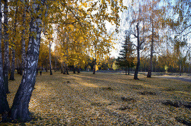 Similar image 21874977