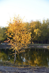 Similar image 21874978