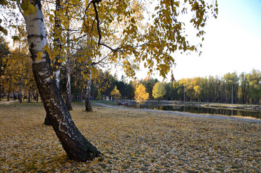 Similar image 21874979