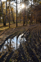 Similar image 21874981