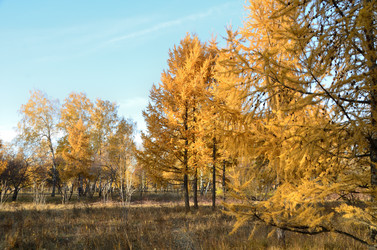 Similar image 21874982