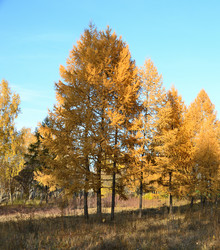 Similar image 21874984