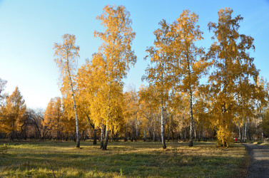 Similar image 21874985