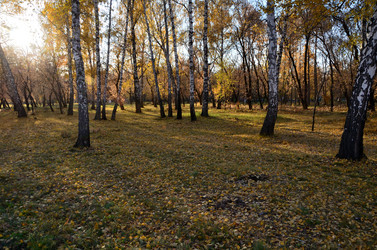 Similar image 21874986