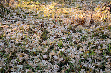 Similar image 21874987