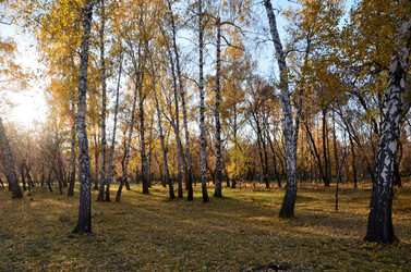 Similar image 21874988