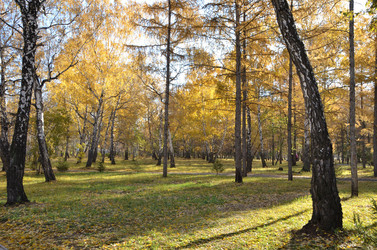 Similar image 21874989